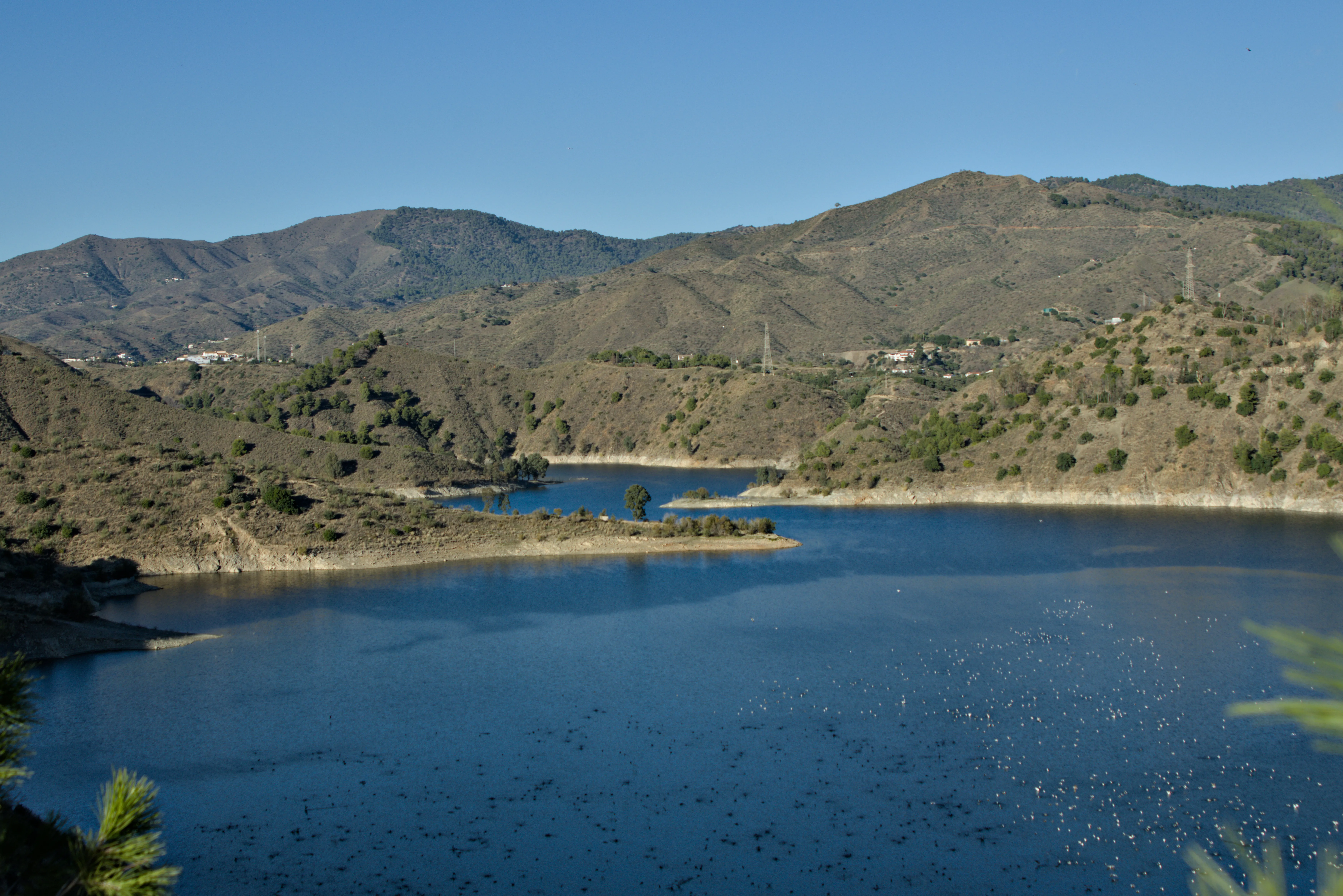 Tamron 28-300mm F3.5-6.3 (EF) - _I4A5958.webp